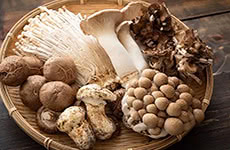 The health benefits of the Top Ten Species of Mushrooms 