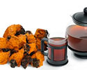 Preparing infusions from Chaga
